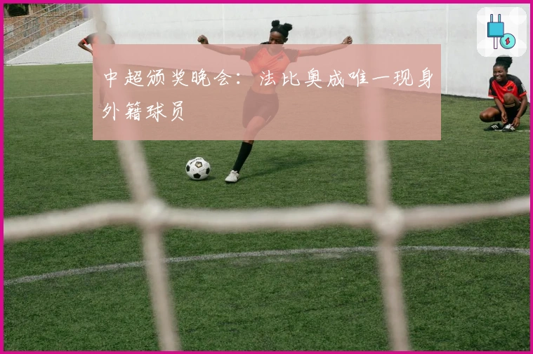 中超颁奖晚会：法比奥成唯一现身外籍球员