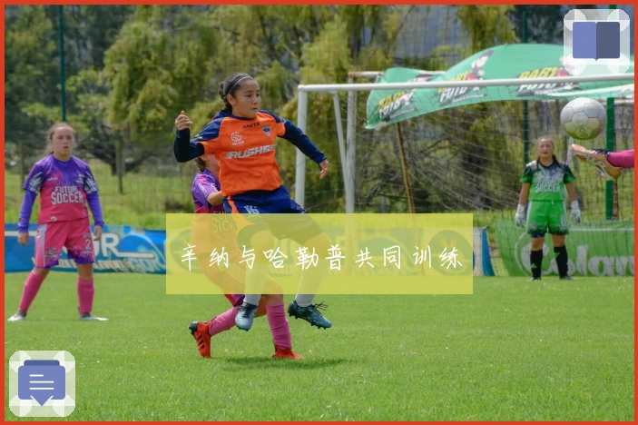 辛纳与哈勒普共同训练